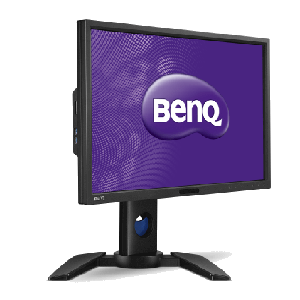 BenQ pg2401pt Monitor