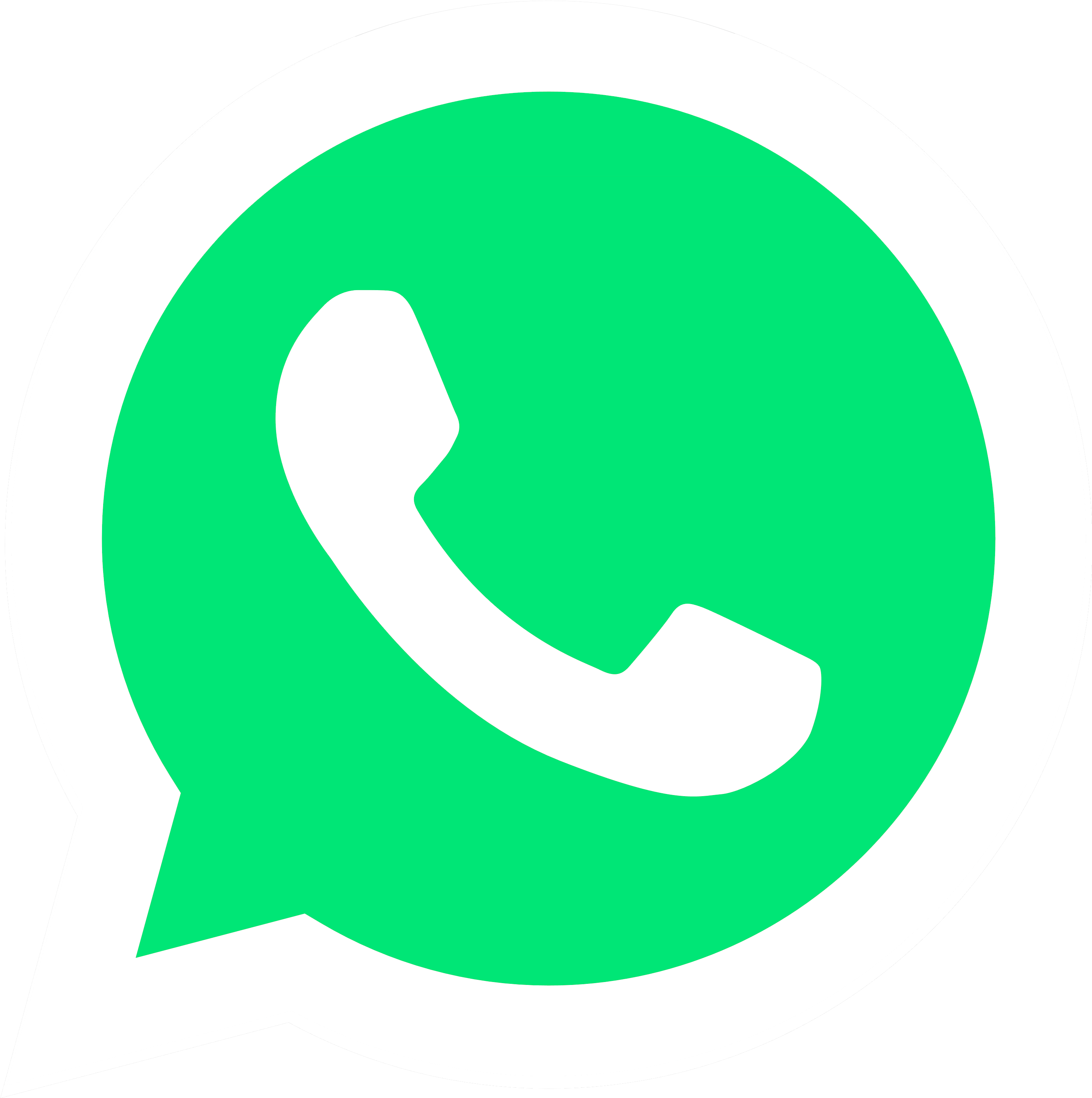 whatsapp logo